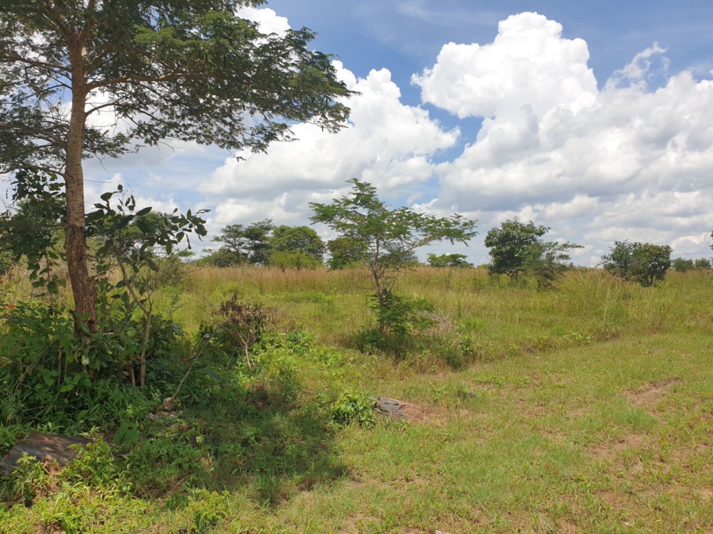 Farm vacant land for sale in Mpika, Zambia - 3ZA1624095