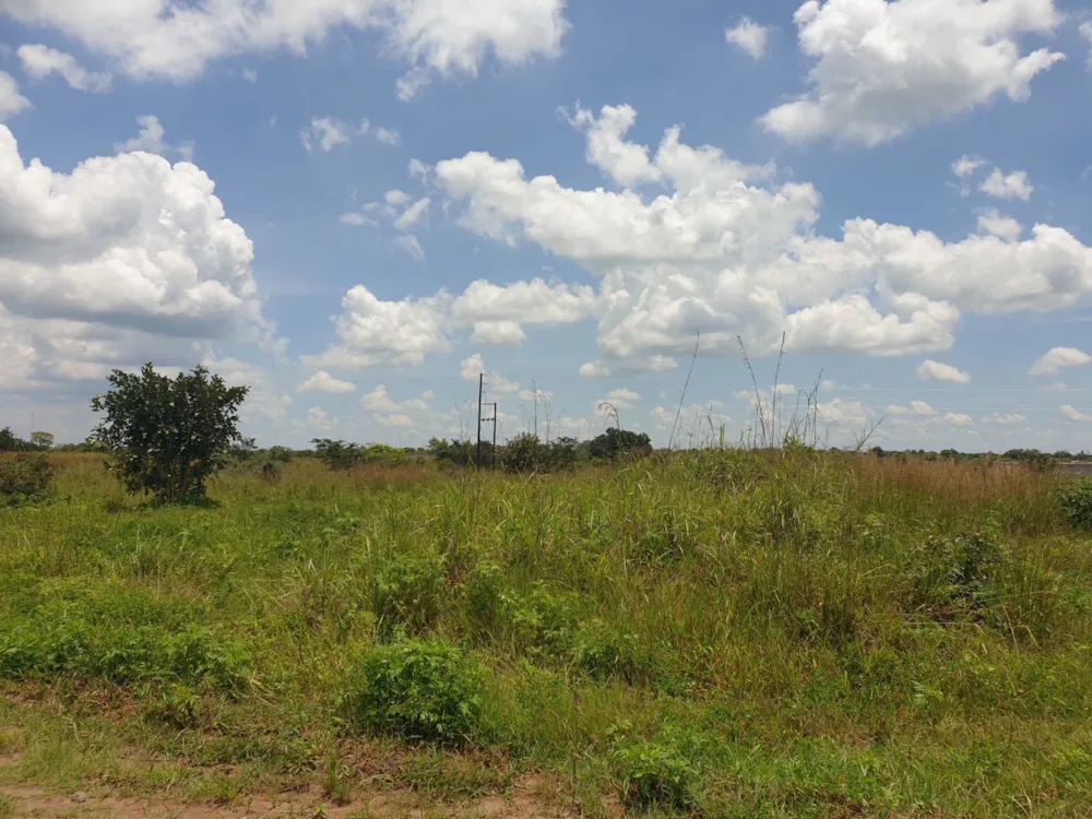 Farm vacant land for sale in Mpika, Zambia - 3ZA1624095