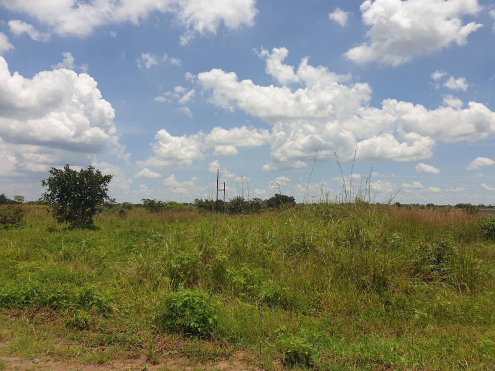 Farm vacant land for sale in Mpika, Zambia - 3ZA1624095