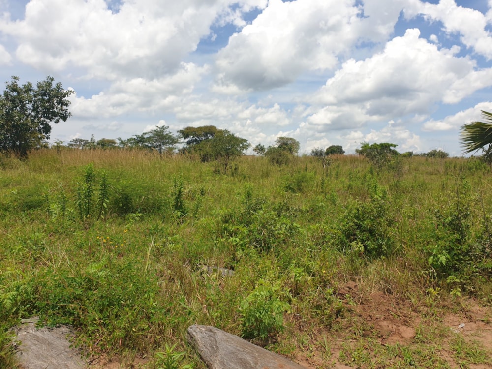 Farm vacant land for sale in Mpika, Zambia - 3ZA1624095