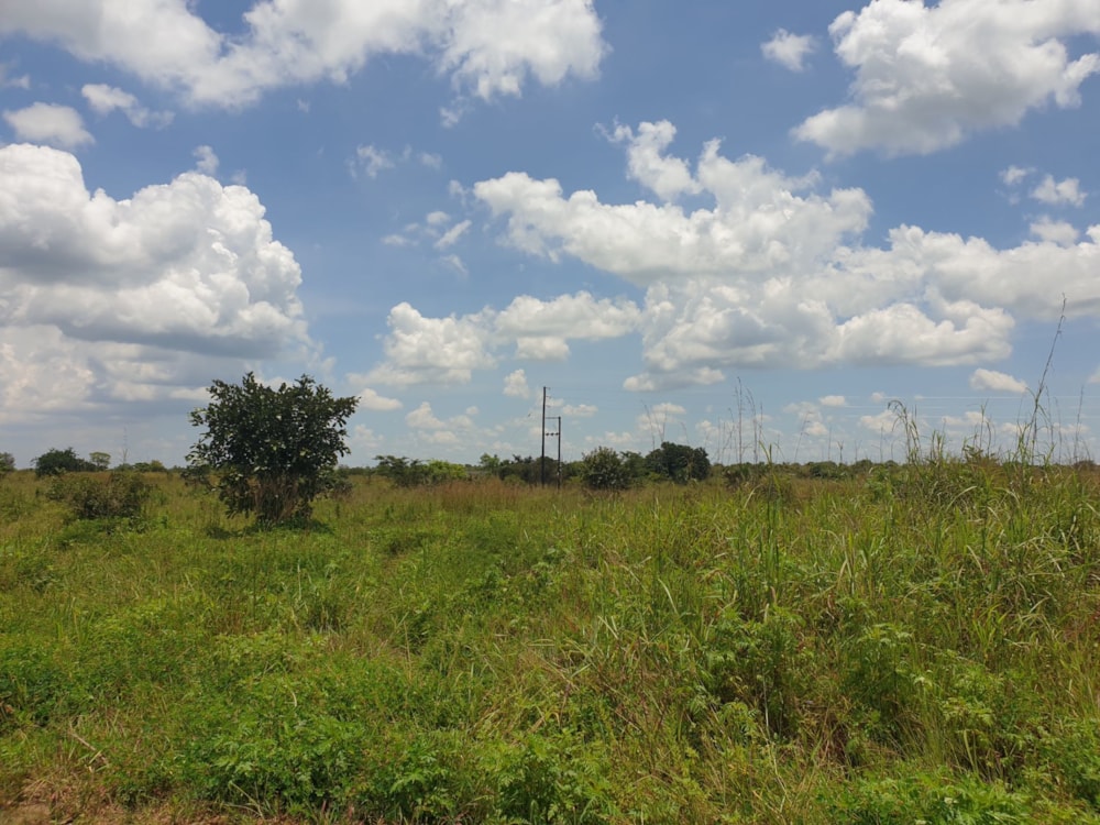 Farm vacant land for sale in Mpika, Zambia - 3ZA1624095