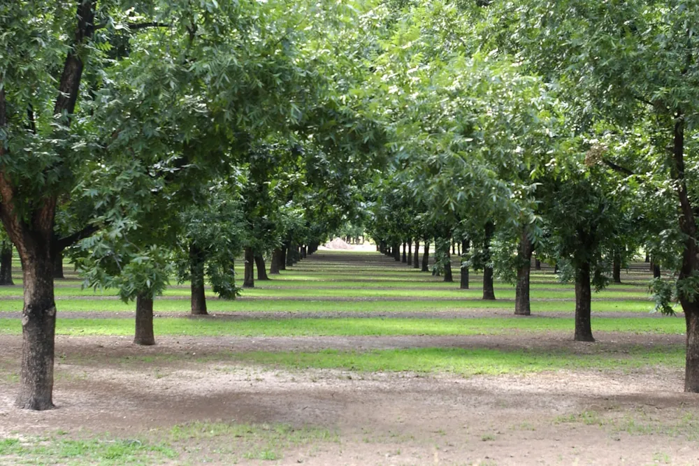 Mixed use farm for sale in Skeerpoort - 1HR1624422