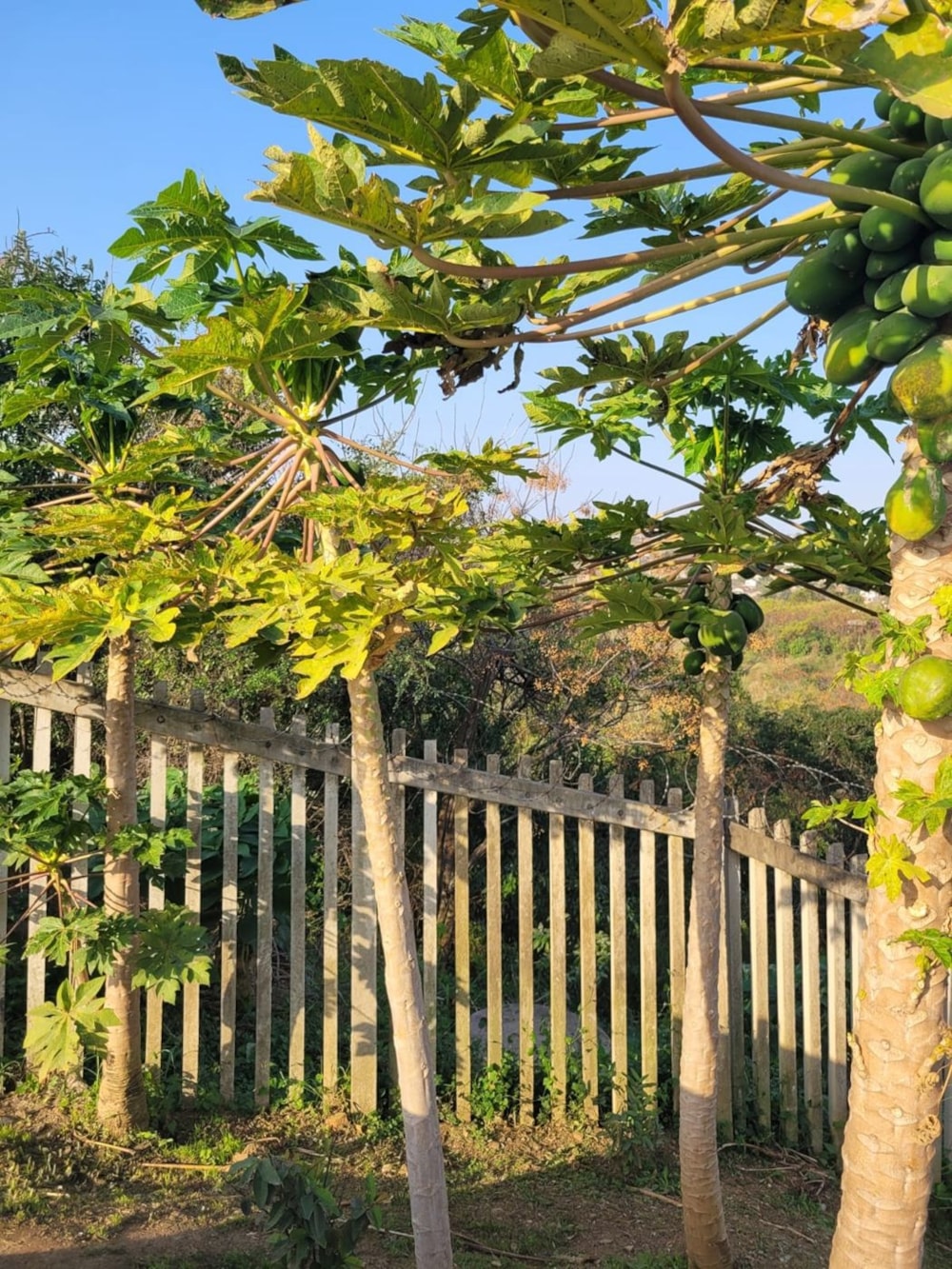 Vacant land for sale in Verulam - 1ND1625034