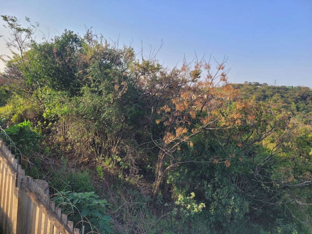 Vacant land for sale in Verulam - 1ND1625042