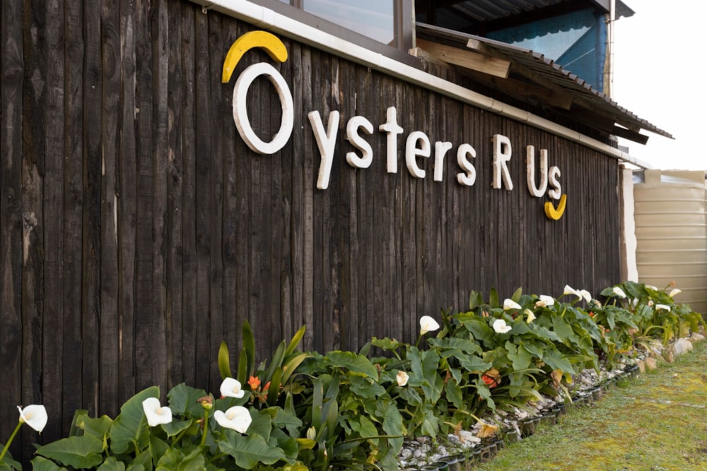 Smallholding for sale in Wilderness - GEO1626490 Smallholding for sale in Wilderness - GEO1626490