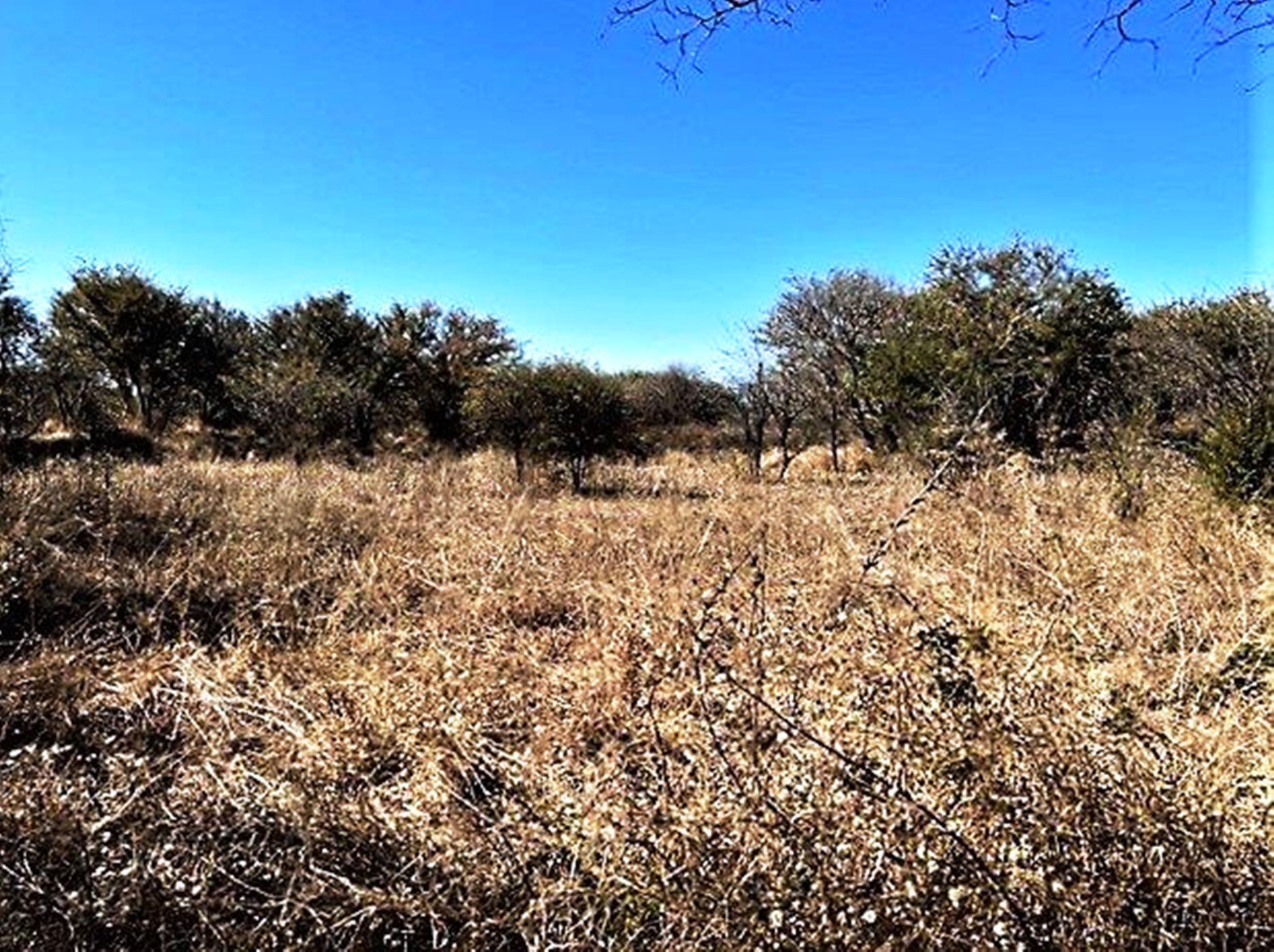 Residential vacant land for sale in Gaborone North, Botswana - 3BO1625704