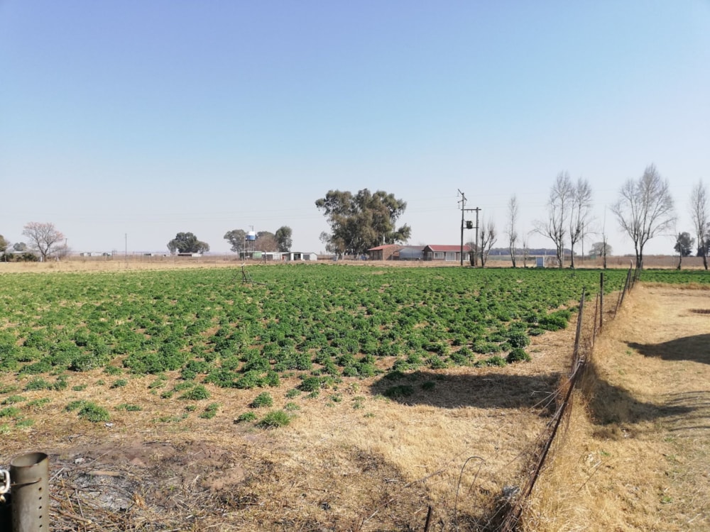 Smallholding for sale in Sasolburg - 1VT1627195