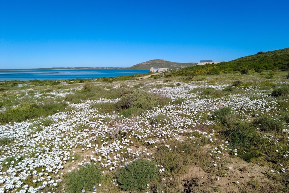 Vacant land for sale in Langebaan - LA1625821