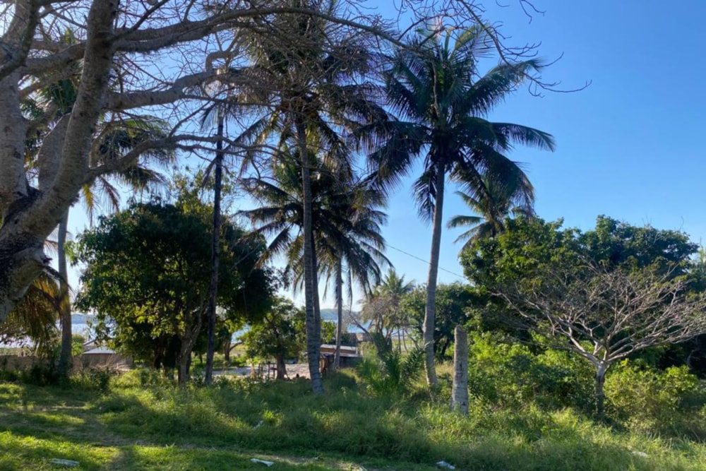 Vacant land for investment in Bilene, Mozambique - 3MQ1626141