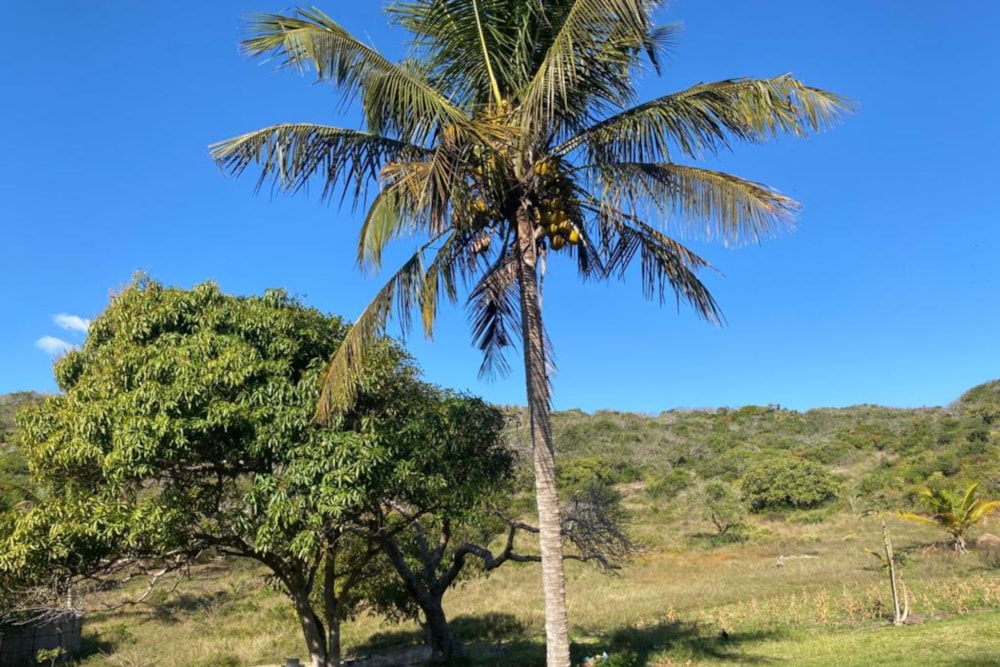 Vacant land for investment in Bilene, Mozambique - 3MQ1626141
