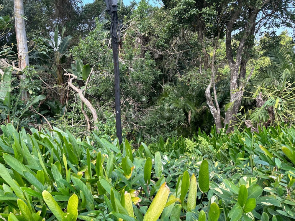 Residential vacant land for sale in Southbroom - 1PD1626172