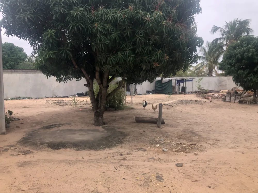 Bungalow for sale in Vilanculos, Mozambique - 3MQ1626231 Bungalow for sale in Vilanculos, Mozambique - 3MQ1626231