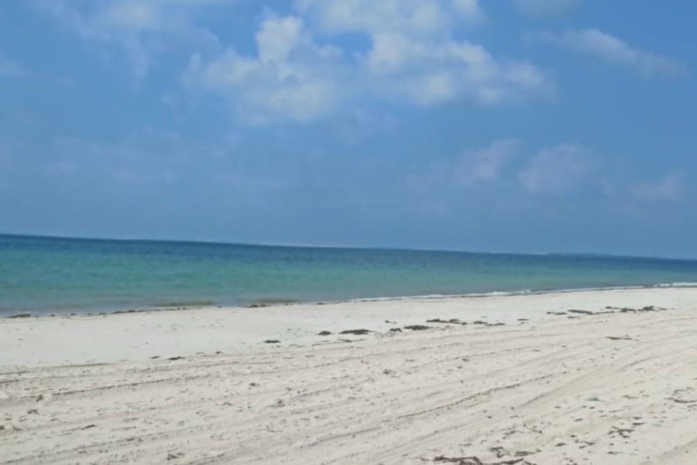 Vacant land for investment in Inhassoro, Mozambique - 3MQ1626241 Vacant land for investment in Inhassoro, Mozambique - 3MQ1626241