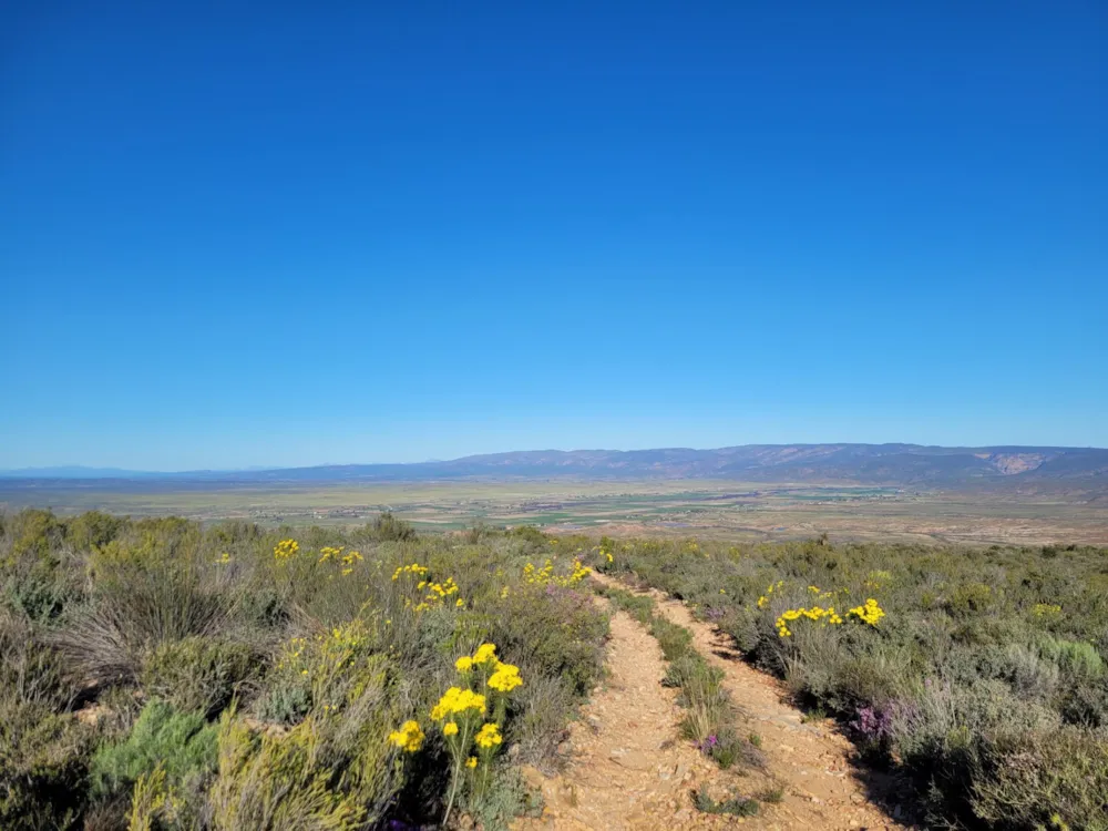 Farm vacant land sold in Calitzdorp - 1OU1734634 Farm vacant land sold in Calitzdorp - 1OU1734634