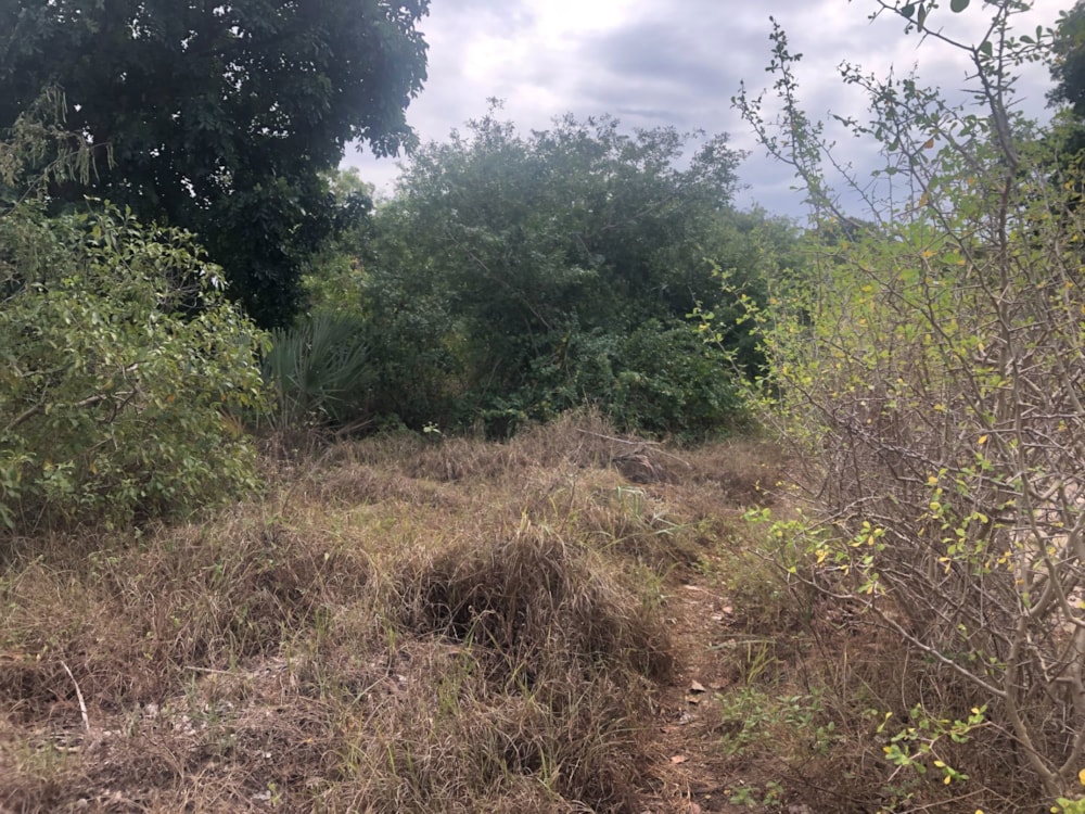 Vacant land for investment in Vilanculos, Mozambique - 3MQ1626765