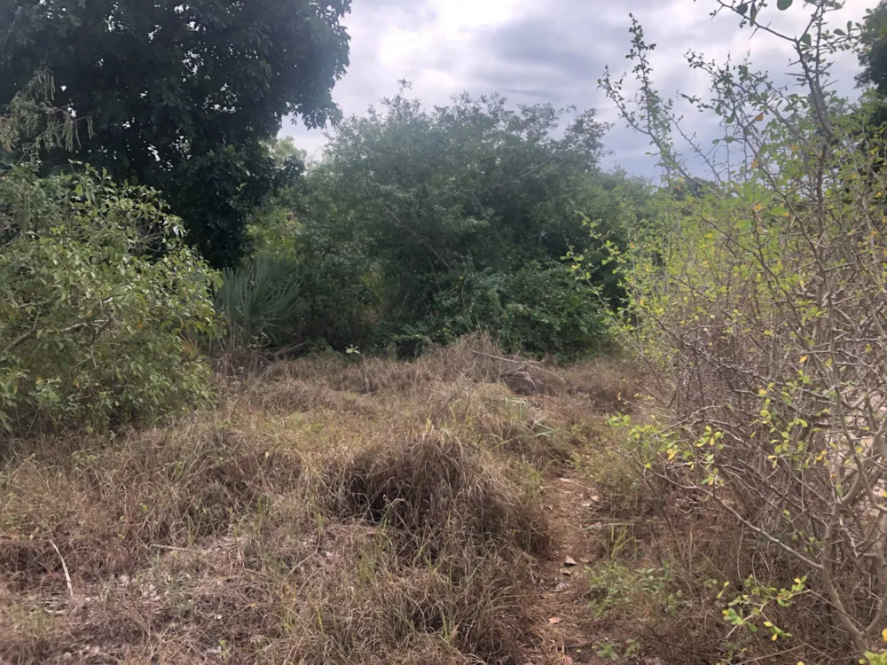Vacant land for investment in Vilanculos, Mozambique - 3MQ1626765 Vacant land for investment in Vilanculos, Mozambique - 3MQ1626765