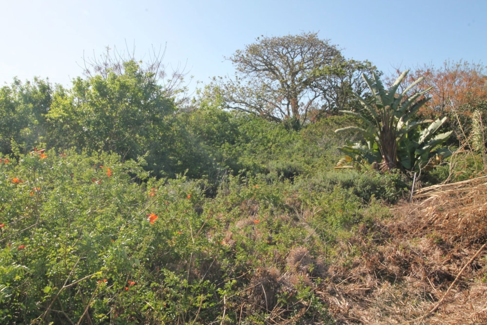 Residential vacant land for sale in West Bank, Port Alfred - 1PF1631006 Residential vacant land for sale in West Bank, Port Alfred - 1PF1631006