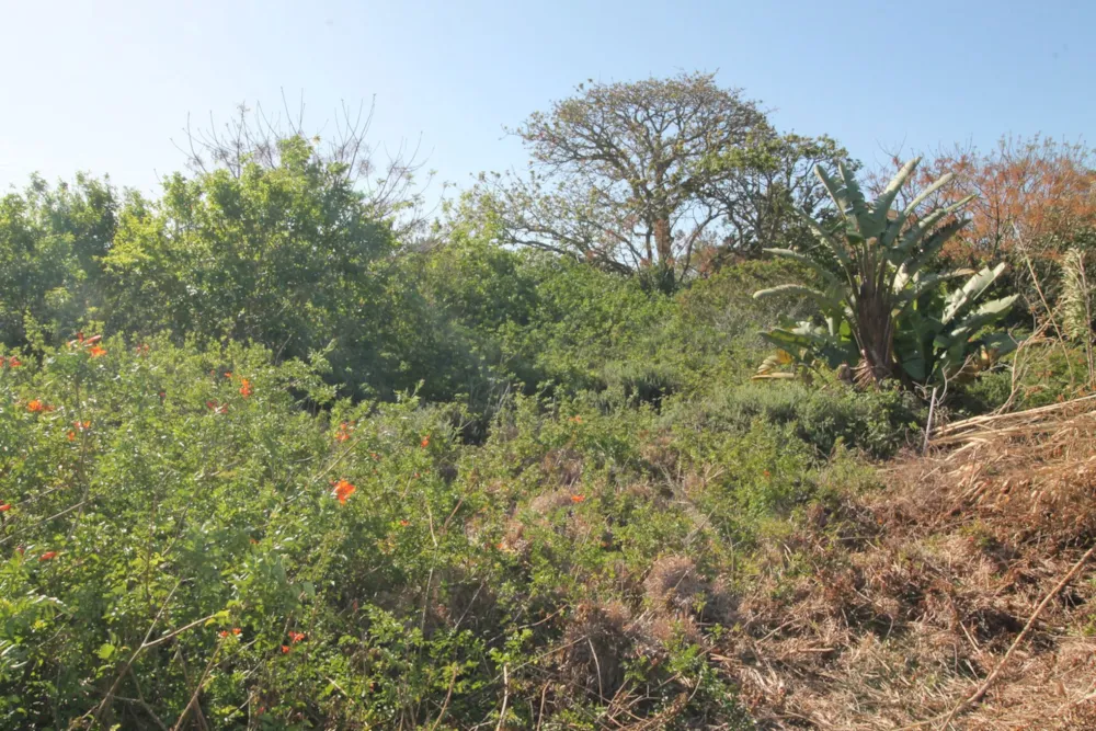 Residential vacant land for sale in West Bank, Port Alfred - 1PF1631006 Residential vacant land for sale in West Bank, Port Alfred - 1PF1631006