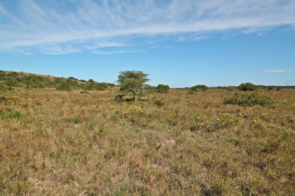 Farm vacant land for sale in Bathurst - 1PF1626843