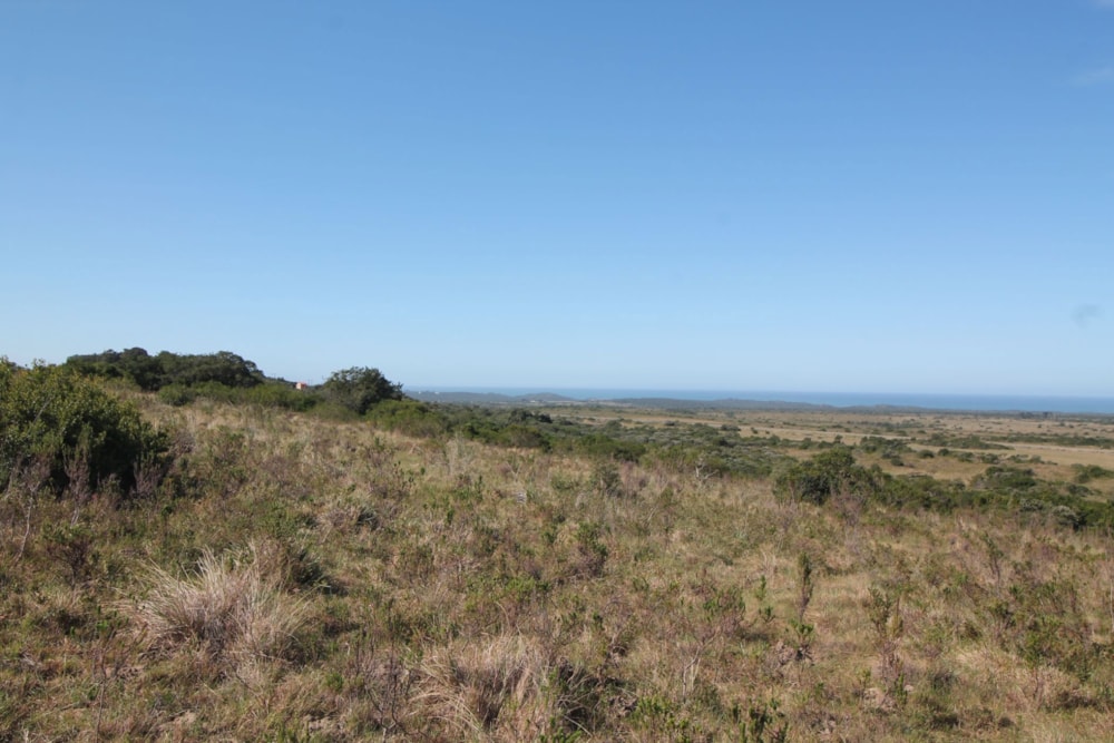 Farm vacant land for sale in Bathurst - 1PF1626843