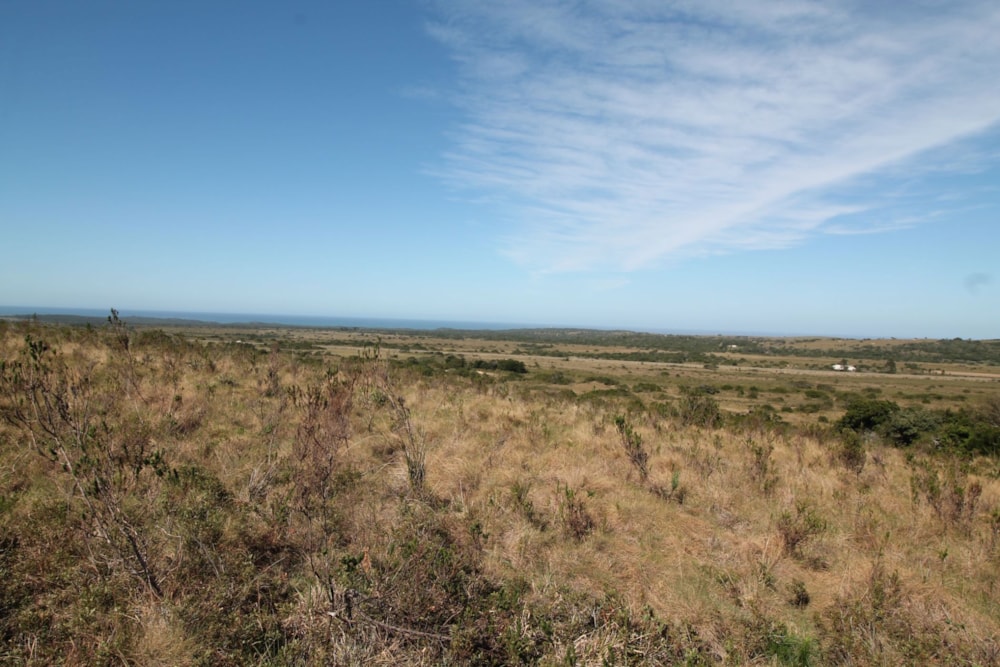 Farm vacant land for sale in Bathurst - 1PF1626843