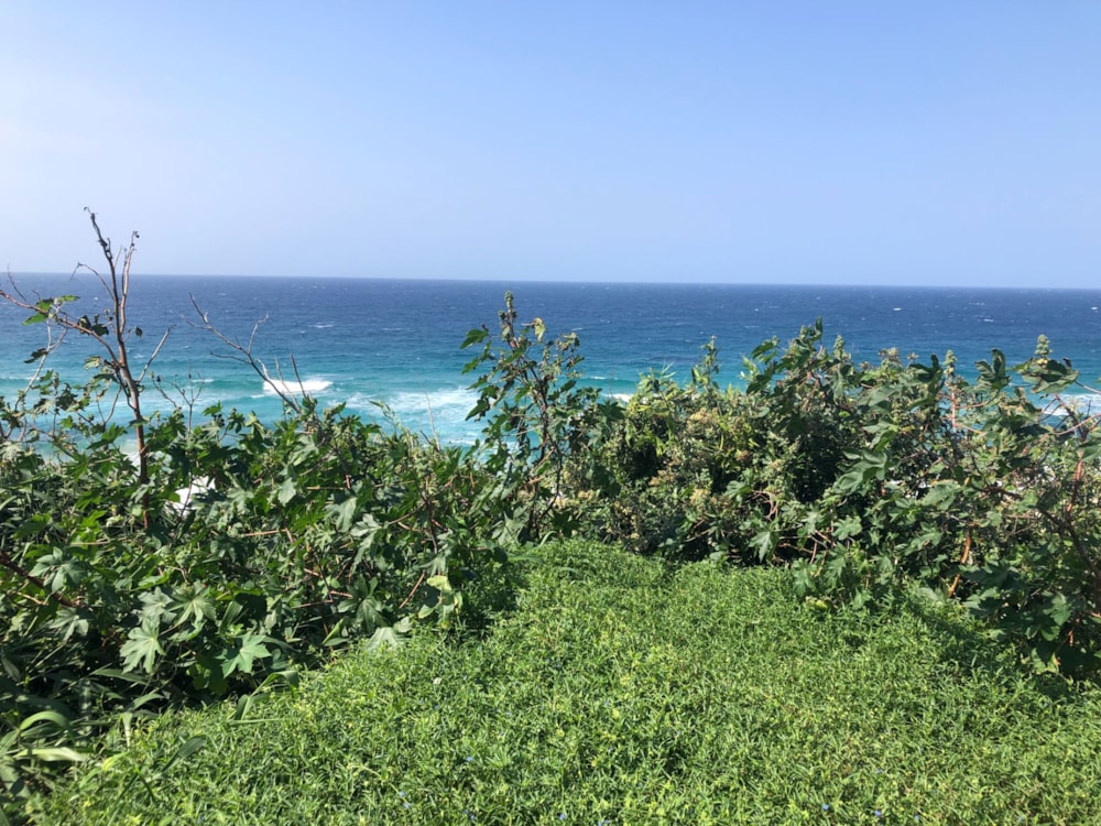 Vacant land for investment in Ponta de Ouro, Mozambique - 3MQ1627031