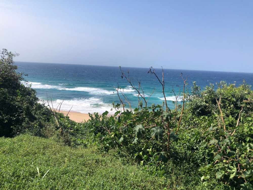 Vacant land for investment in Ponta de Ouro, Mozambique - 3MQ1627031