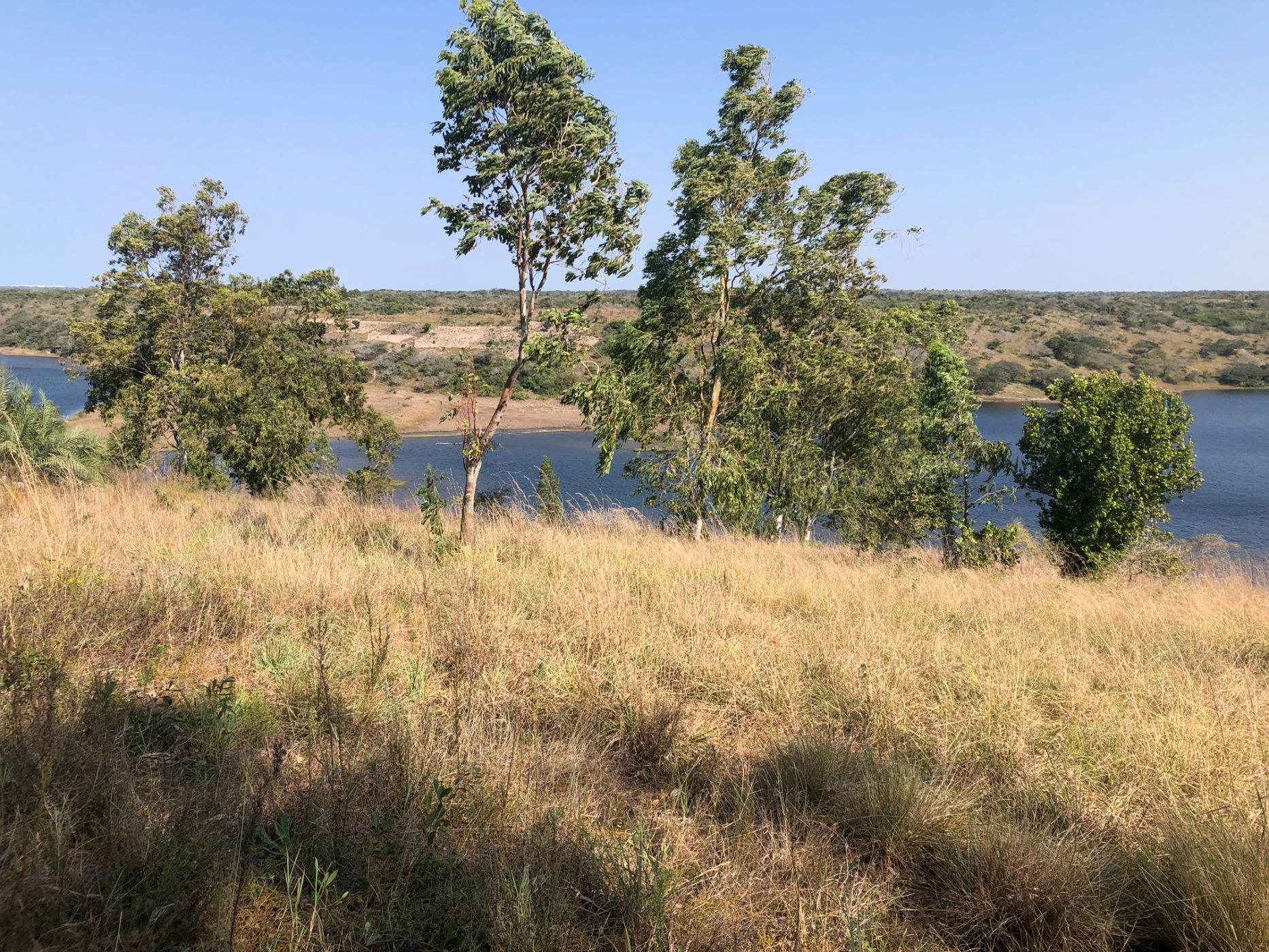 Vacant land for investment in Bilene, Mozambique - 3MQ1627103
