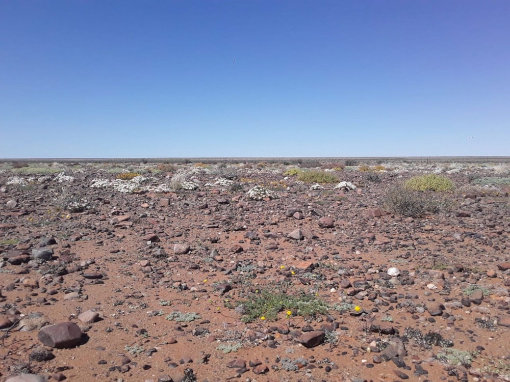 Livestock farm sold in Namaqualand - 1NA1627639 Livestock farm sold in Namaqualand - 1NA1627639