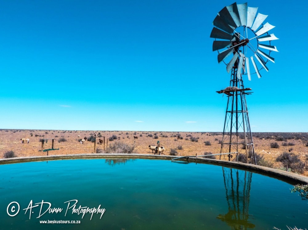 Livestock farm sold in Namaqualand - 1NA1627639 Livestock farm sold in Namaqualand - 1NA1627639
