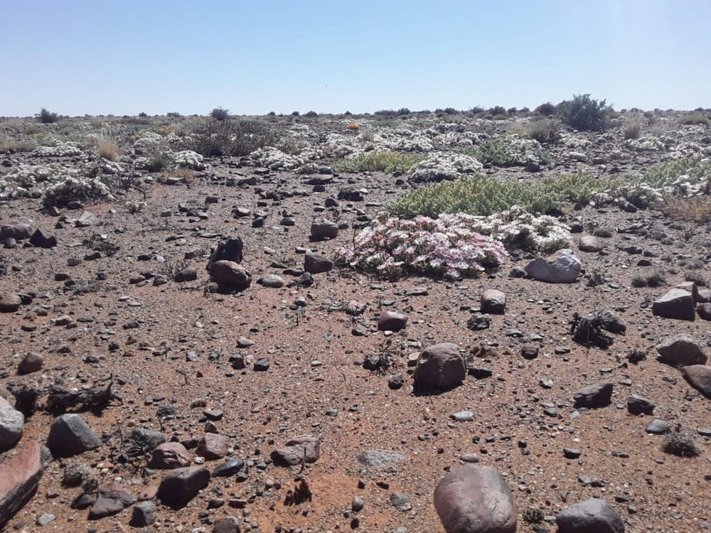 Livestock farm sold in Namaqualand - 1NA1627639 Livestock farm sold in Namaqualand - 1NA1627639