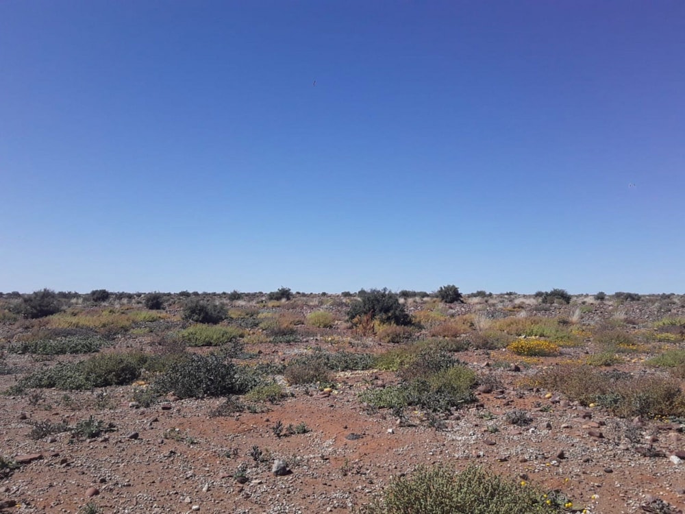 Livestock farm sold in Namaqualand - 1NA1627639 Livestock farm sold in Namaqualand - 1NA1627639