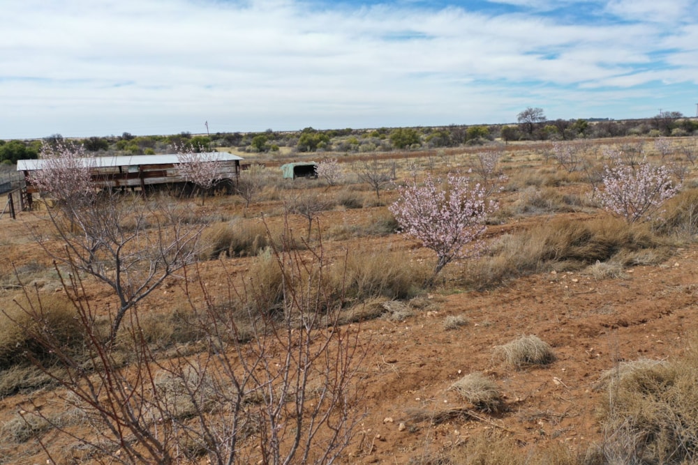 Mixed use farm for sale in Reivilo, North West Province - 1RN1627451 Mixed use farm for sale in Reivilo, North West Province - 1RN1627451