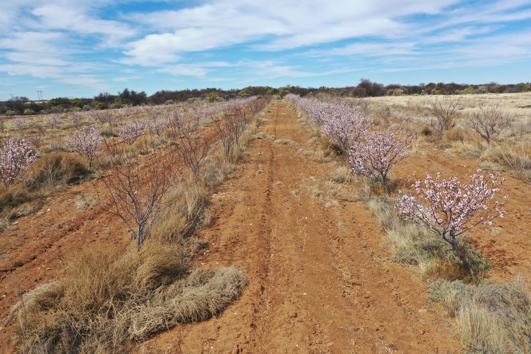 Mixed use farm for sale in Reivilo, North West Province - 1RN1627451