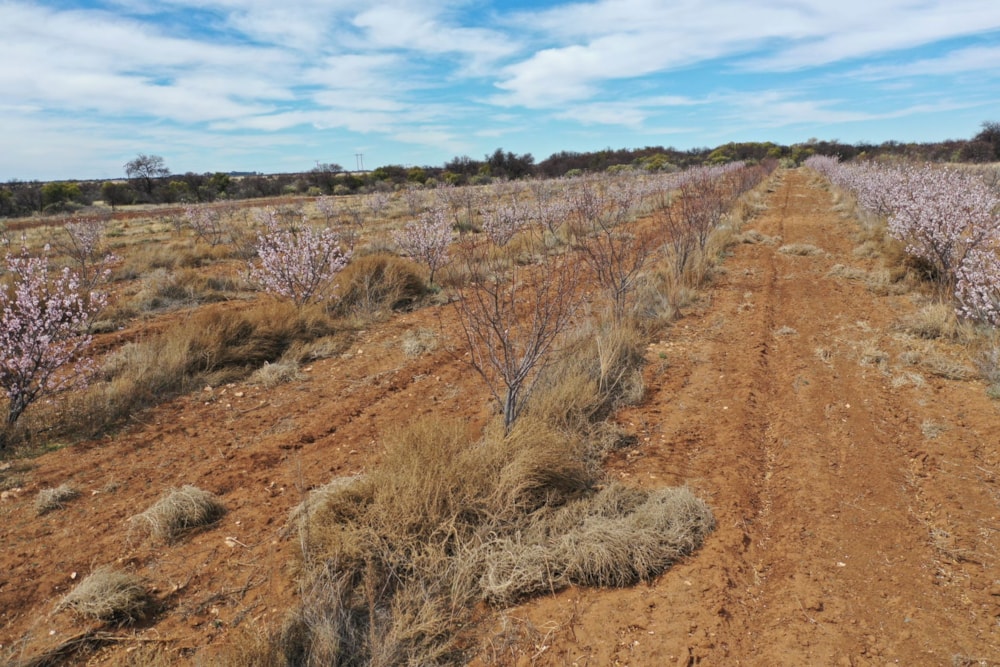 Mixed use farm for sale in Reivilo, North West Province - 1RN1627451 Mixed use farm for sale in Reivilo, North West Province - 1RN1627451