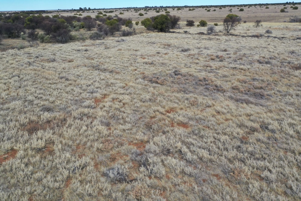 Mixed use farm for sale in Reivilo, North West Province - 1RN1627451 Mixed use farm for sale in Reivilo, North West Province - 1RN1627451