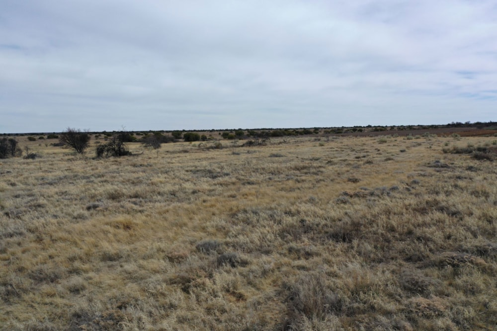 Mixed use farm for sale in Reivilo, North West Province - 1RN1627451 Mixed use farm for sale in Reivilo, North West Province - 1RN1627451