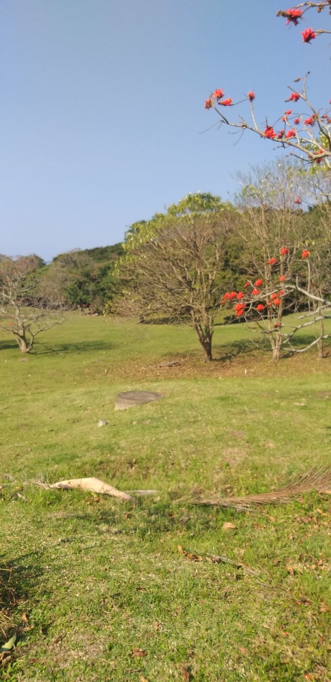 Vacant land for sale in Pennington - 1SI1623957 Vacant land for sale in Pennington - 1SI1623957