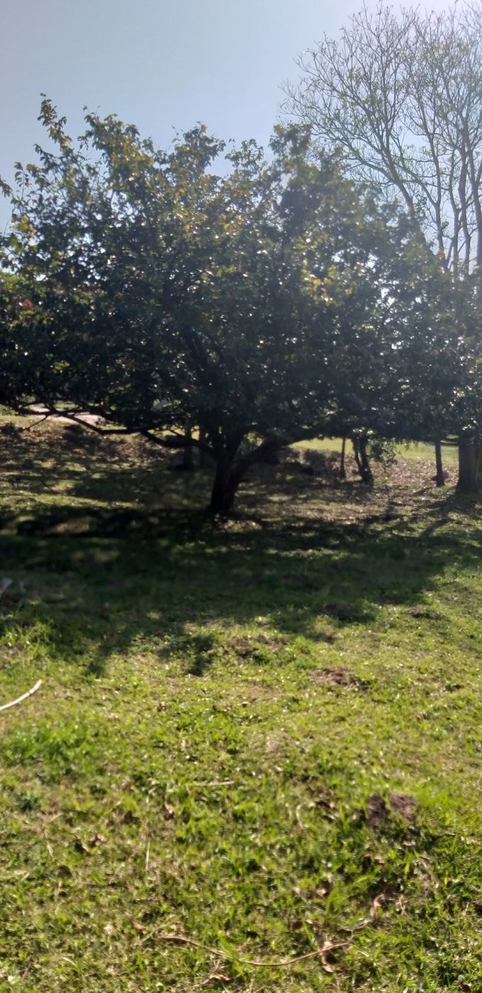 Vacant land for sale in Pennington - 1SI1623957 Vacant land for sale in Pennington - 1SI1623957