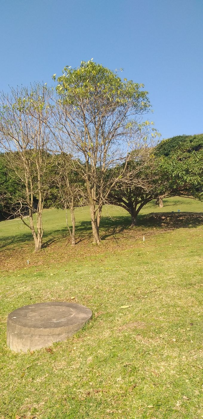 Vacant land for sale in Pennington - 1SI1623957 Vacant land for sale in Pennington - 1SI1623957