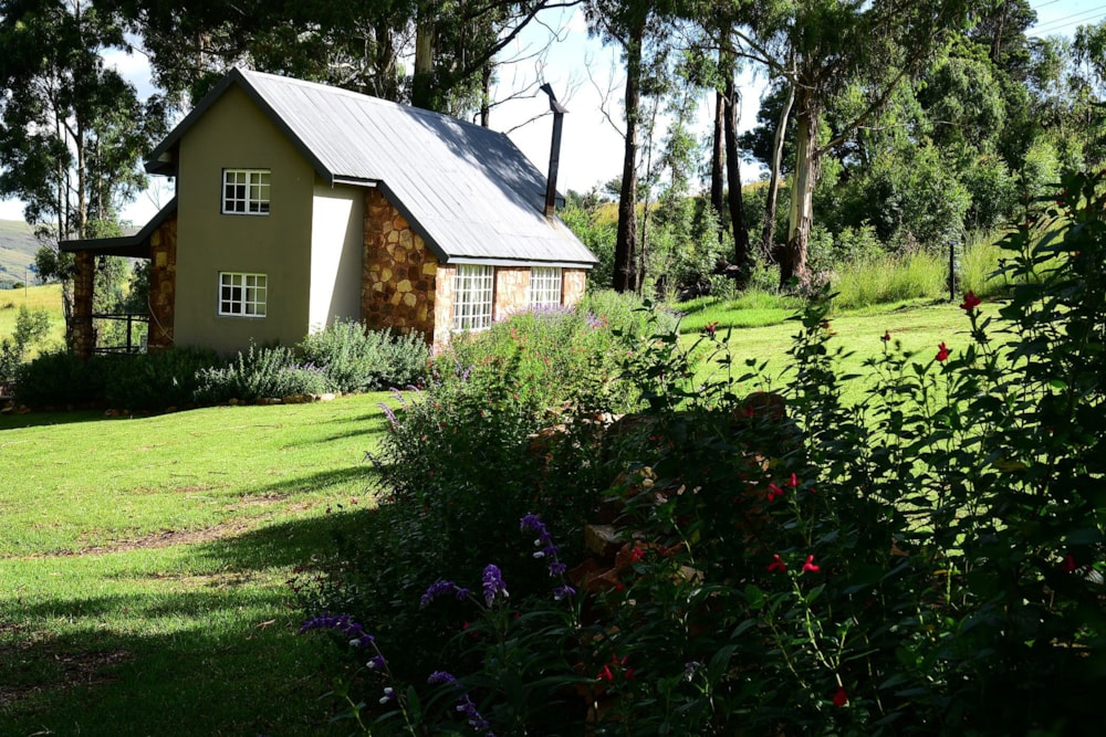 Mixed use farm for sale in Dullstroom - 1DS1624620 Mixed use farm for sale in Dullstroom - 1DS1624620
