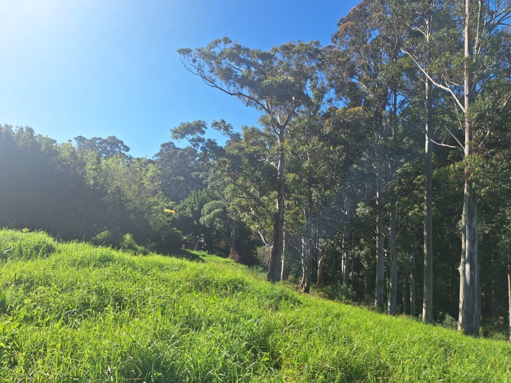 Vacant land for sale in Golden Hill - SW1695092 Vacant land for sale in Golden Hill - SW1695092