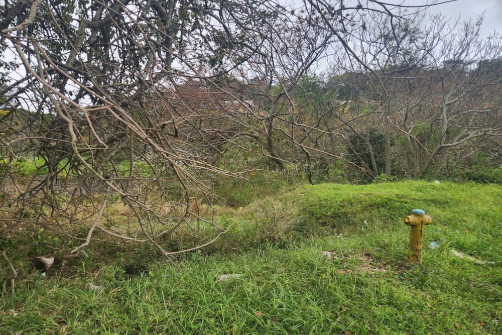 Vacant land for sale in Amanzimtoti - 1WB1626893