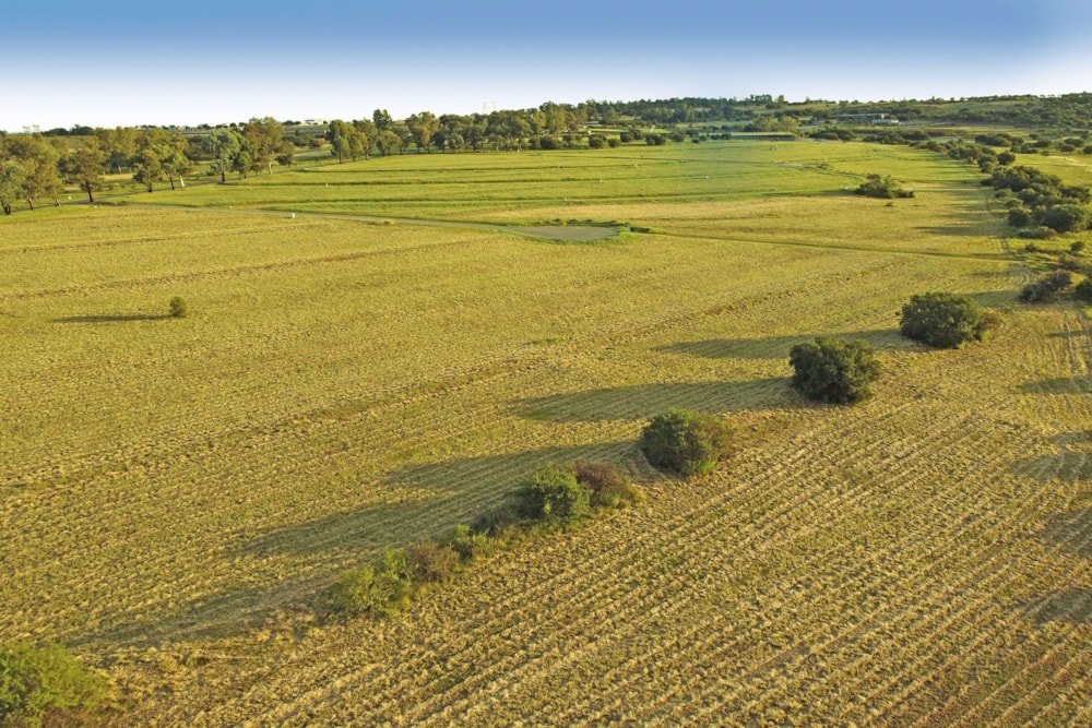 Residential vacant land sold in Monaghan Farm - FW1589036 Residential vacant land sold in Monaghan Farm - FW1589036