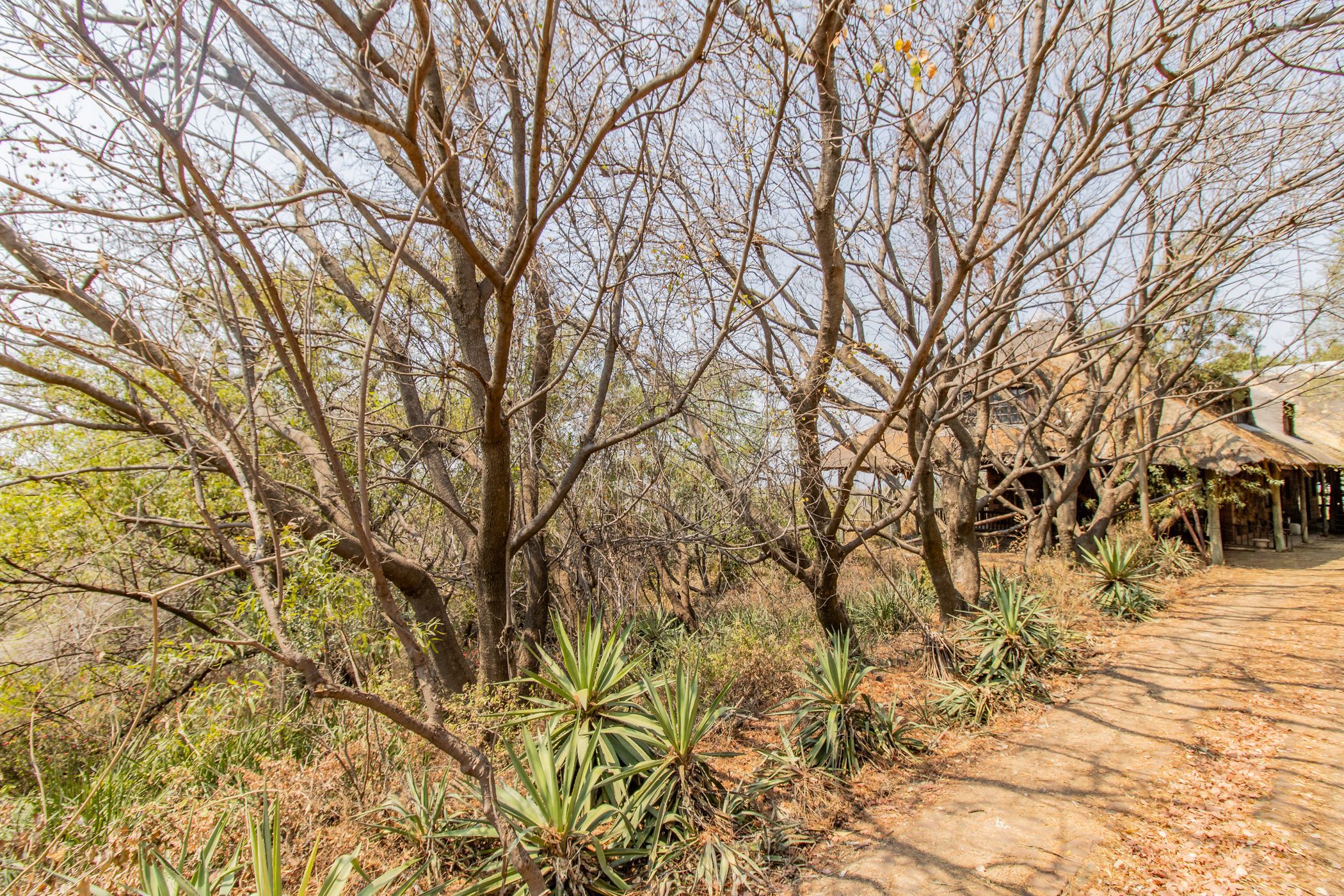 Mixed use farm sold in Kalkheuvel - 1HR1627104