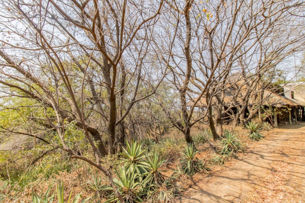 Mixed use farm sold in Kalkheuvel - 1HR1627104 Mixed use farm sold in Kalkheuvel - 1HR1627104