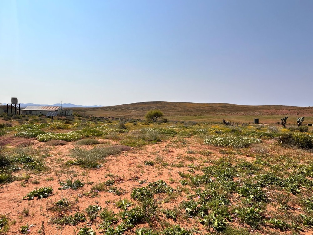 Livestock farm sold in Garies Farms - 1NA1627641 Livestock farm sold in Garies Farms - 1NA1627641