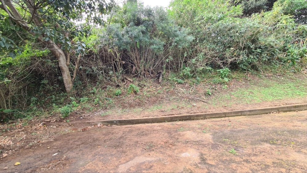 Residential vacant land for sale in Shelly Beach - 1PSH1710639 Residential vacant land for sale in Shelly Beach - 1PSH1710639