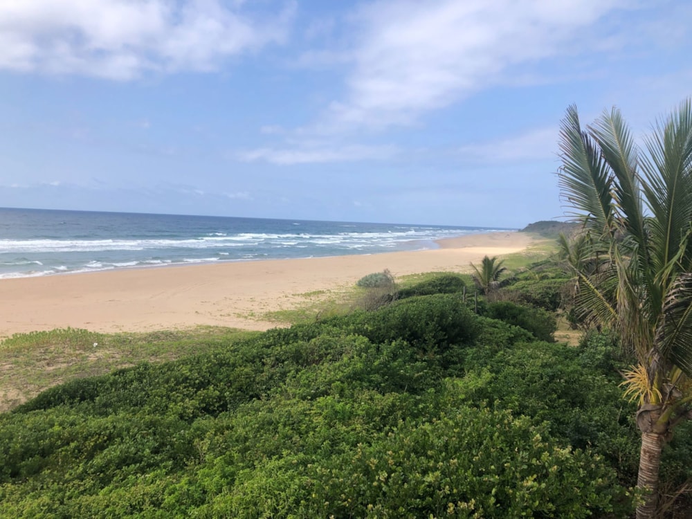 Vacant land for investment in Ponta Mamoli, Mozambique - 3MQ1627762 Vacant land for investment in Ponta Mamoli, Mozambique - 3MQ1627762