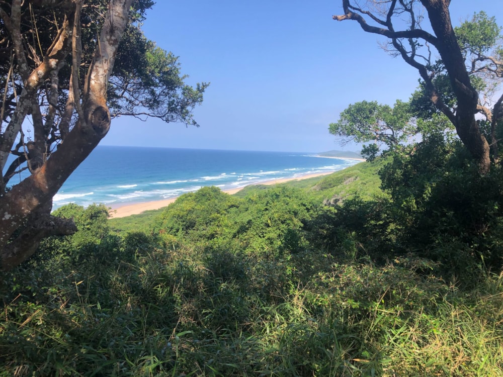 Vacant land for investment in Ponta Mamoli, Mozambique - 3MQ1627762 Vacant land for investment in Ponta Mamoli, Mozambique - 3MQ1627762